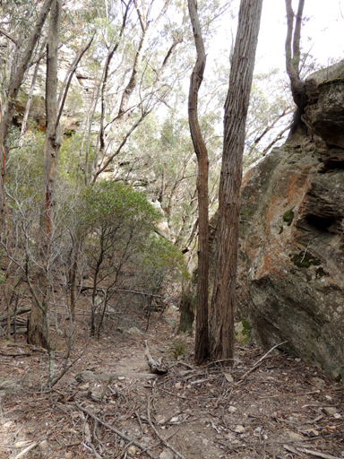  - Wombat Gully